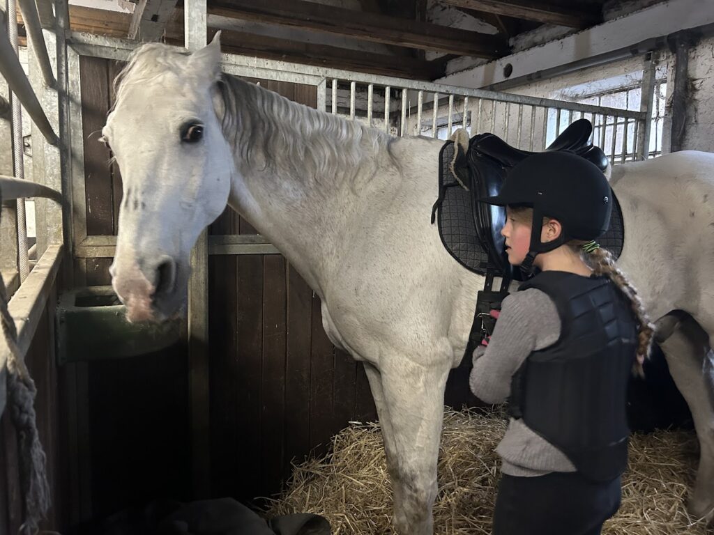 Agnes for horse riding